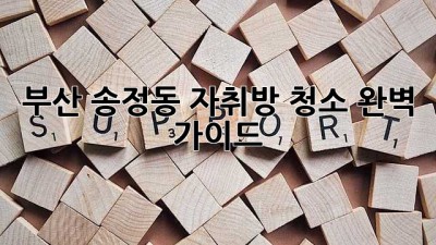 부산 송정동 자취방 청소 완벽 가이드 ✨